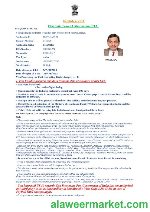 India e-visa template in Word and PDF formats, version 4